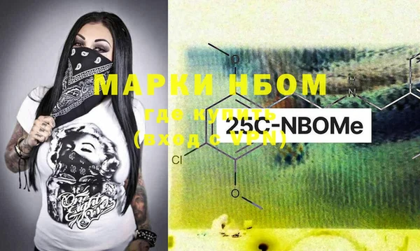 индика Абаза