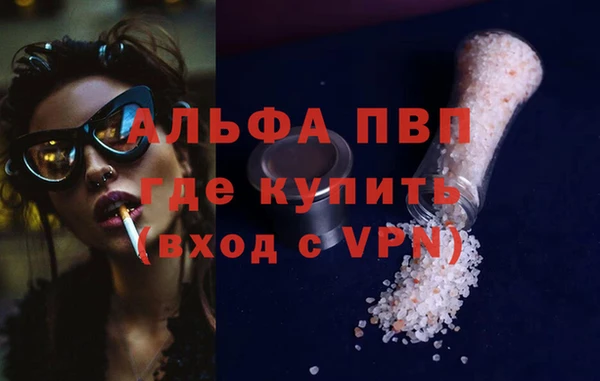 индика Абаза