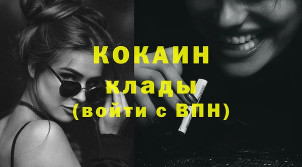 индика Абаза