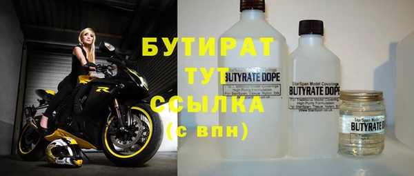 индика Абаза