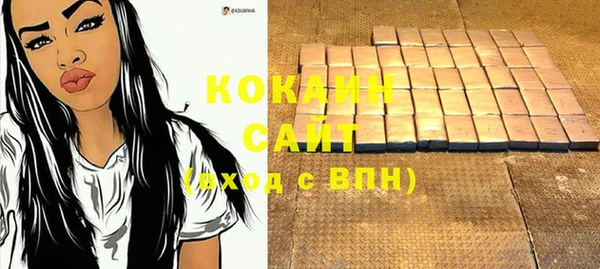 индика Абаза