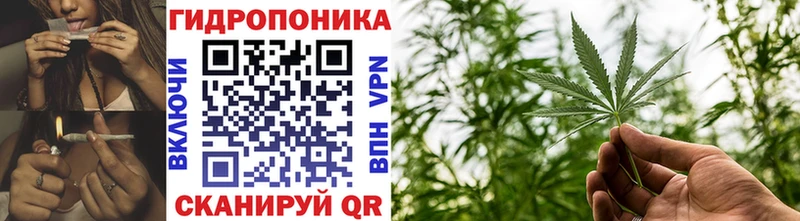 даркнет сайт Углегорск Канабис конопля